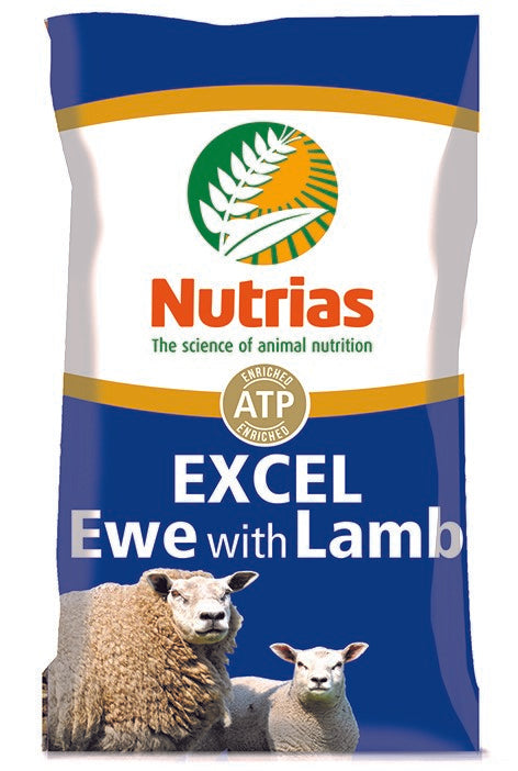 Nutrias Excel Ewe With Lamb