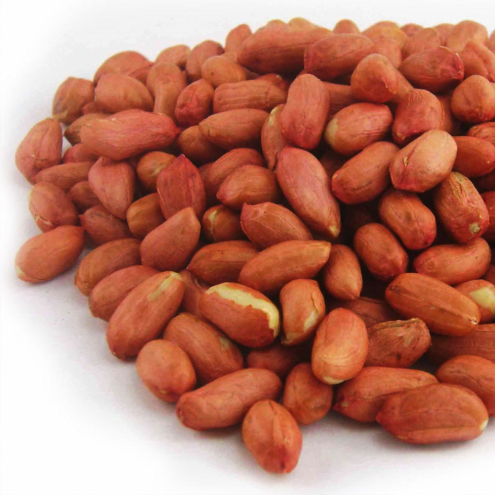 Wild Bird Peanuts