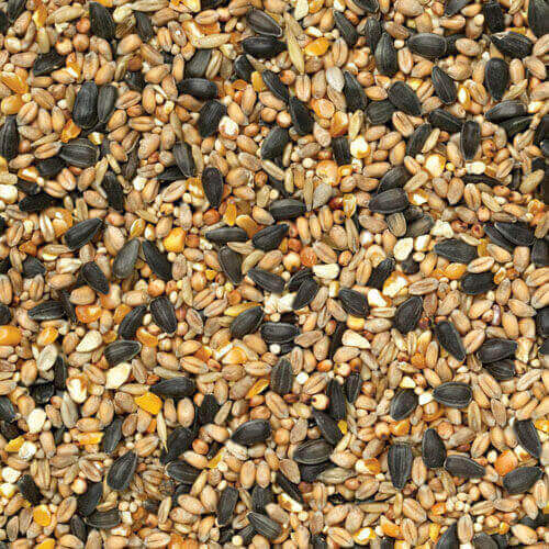 Wild Bird Food 5kg