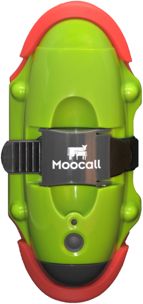 Moocall Calving Sensor