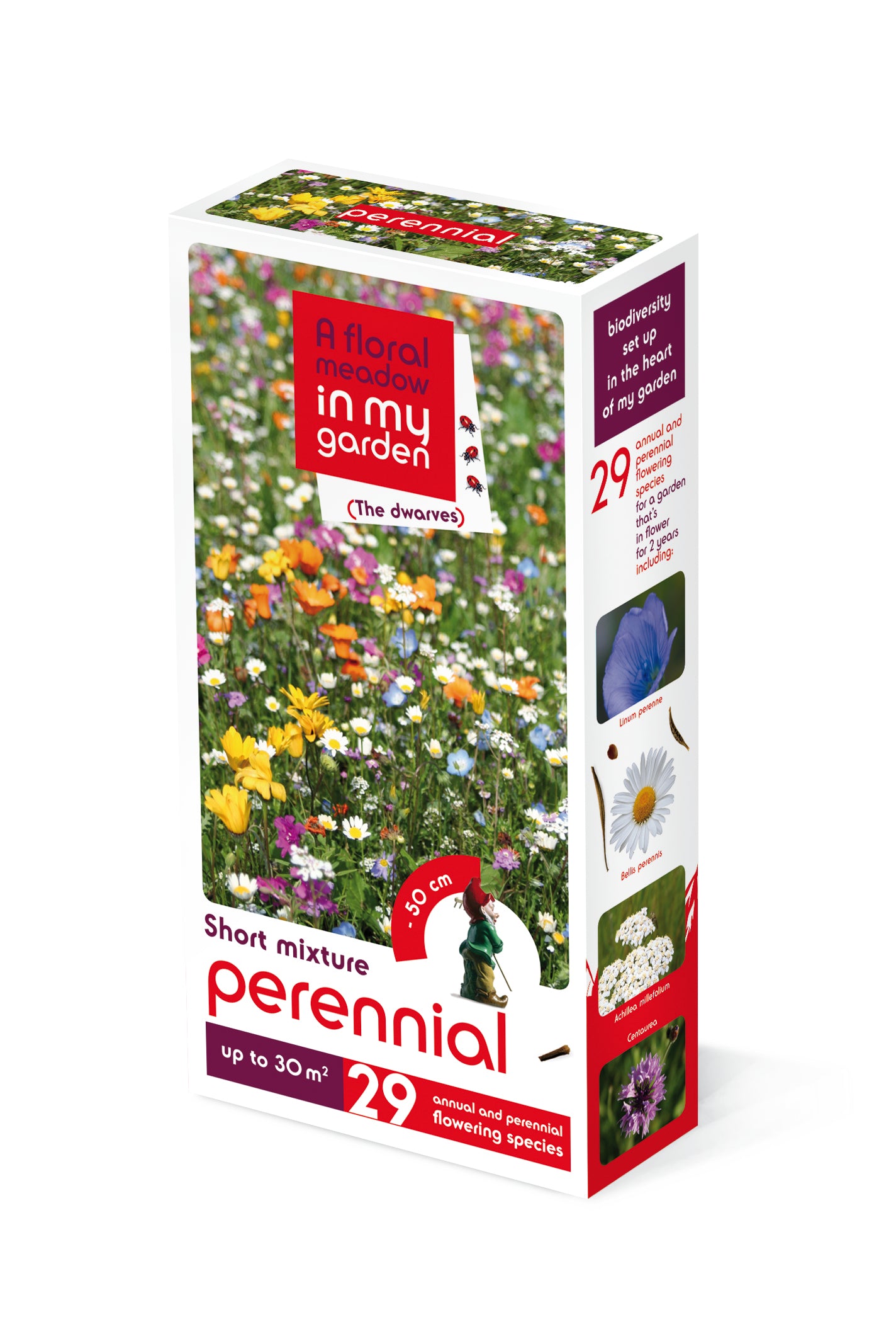 DWA PERENNIAL 30M²