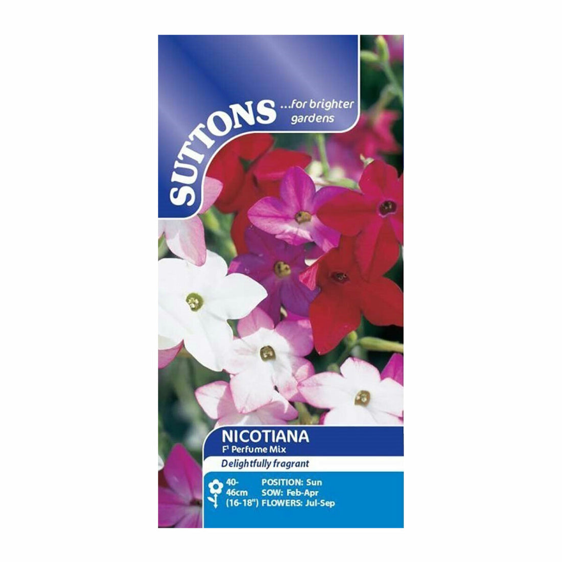 Nicotiana Perfume Mix F1 Flower Seeds