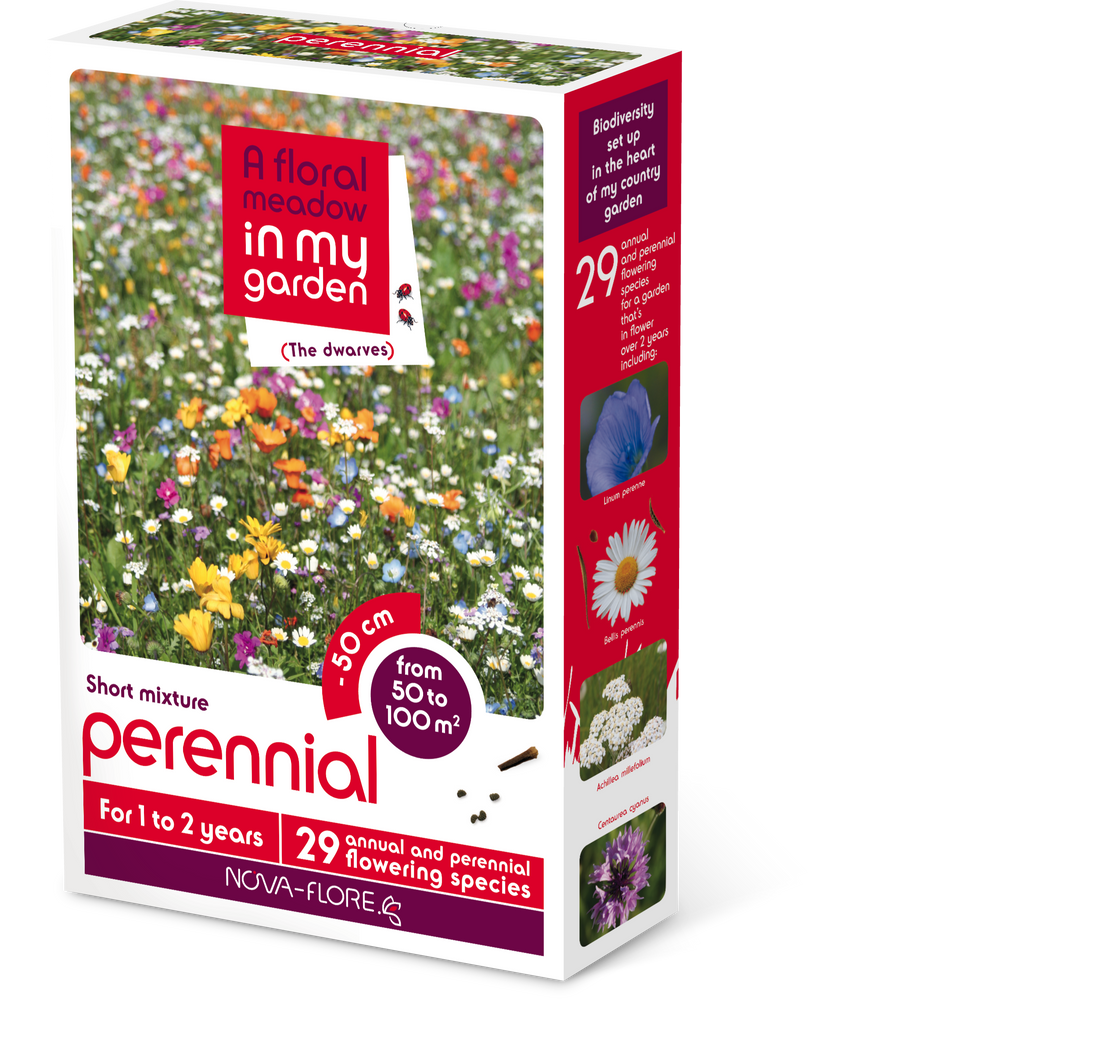 DWA PERENNIAL 100M²