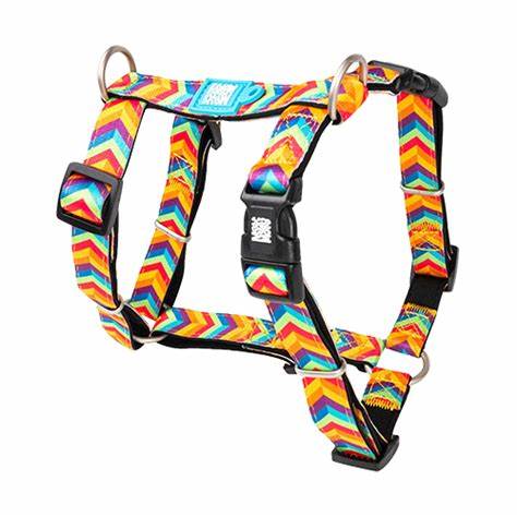 M&amp;M Summertime H Harness