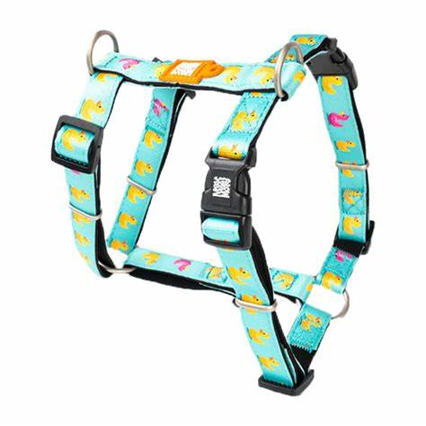 M&amp;M Ducklings H Harness