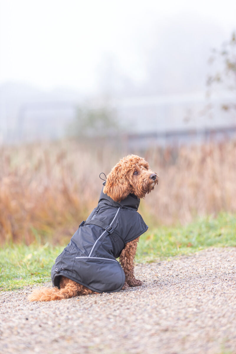 Trixie Brizon Winter Coat Black