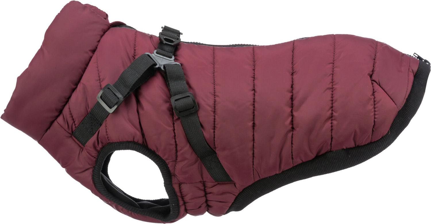 Trixie Pirou Winter Coat with Harness Sangria