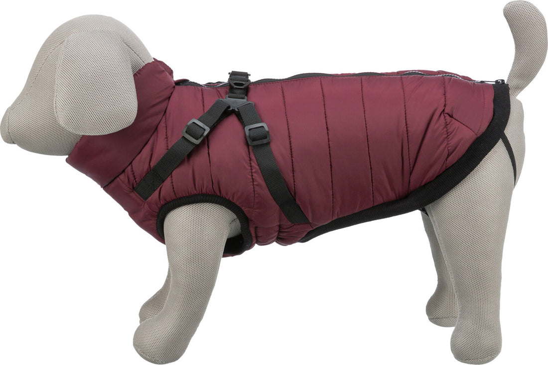 Trixie Pirou Winter Coat with Harness Sangria