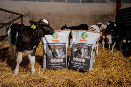 Nutrias Nutri Start Plus Calf Milk Replacer - 20kg