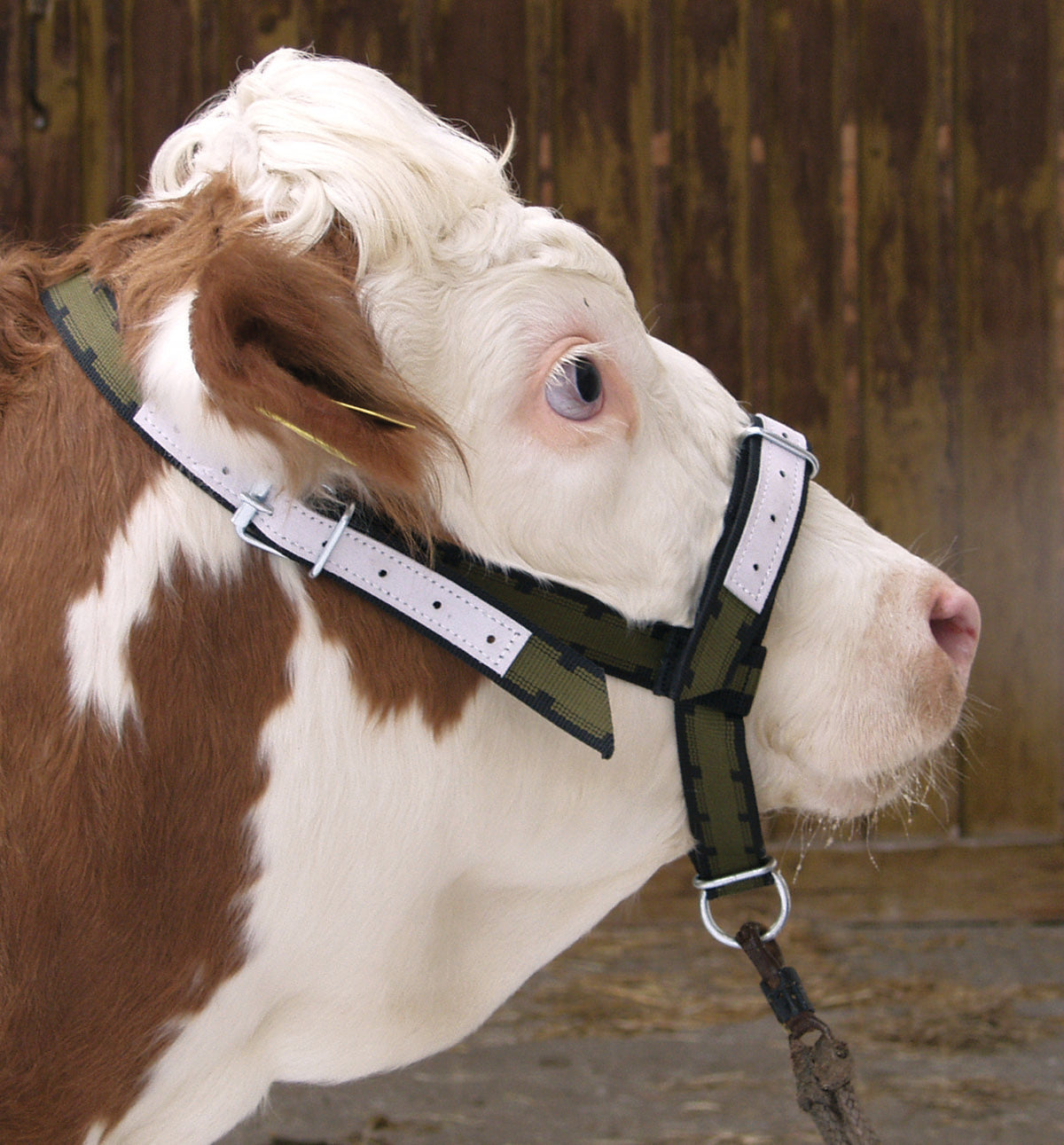 Nylon Cattle Halter Olive Green