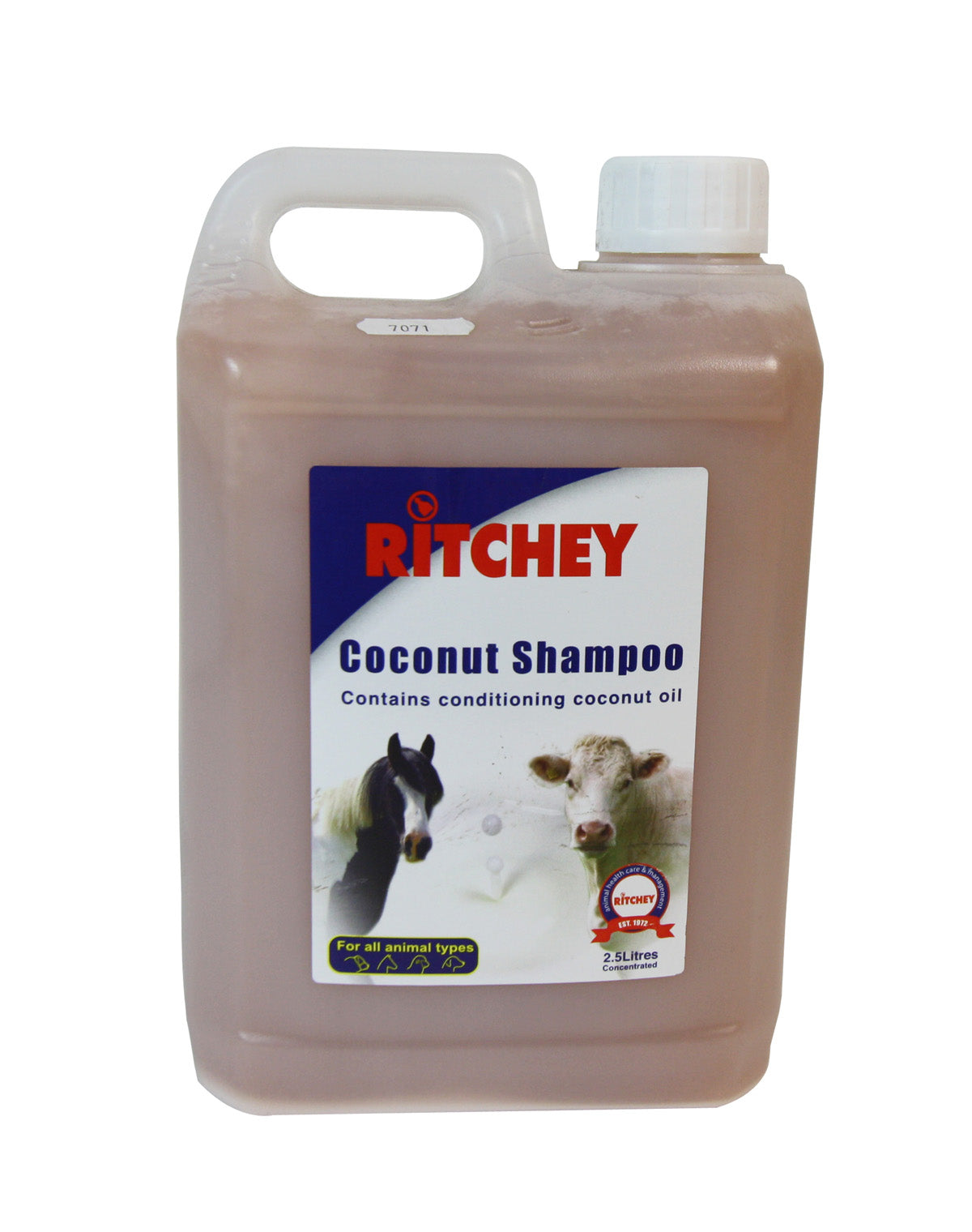 Ritchey Super Coconut Shampoo