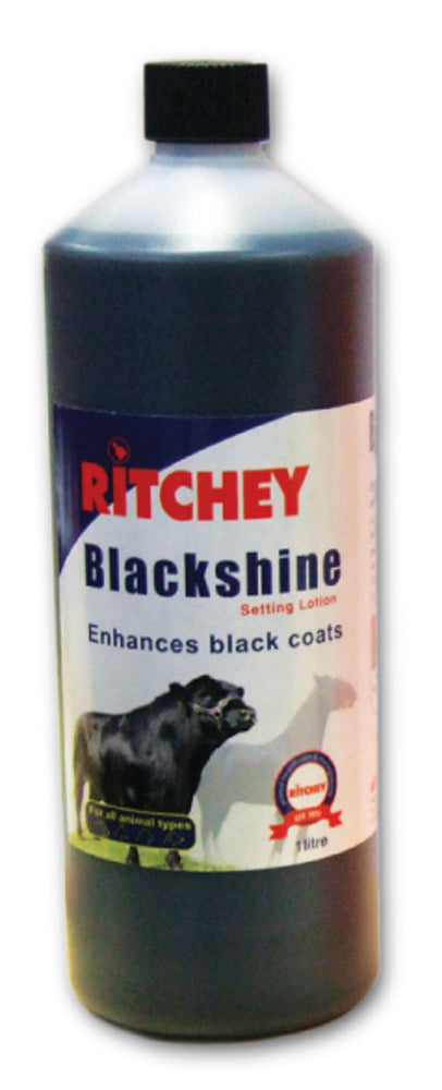 Ritchey Blackshine 1L