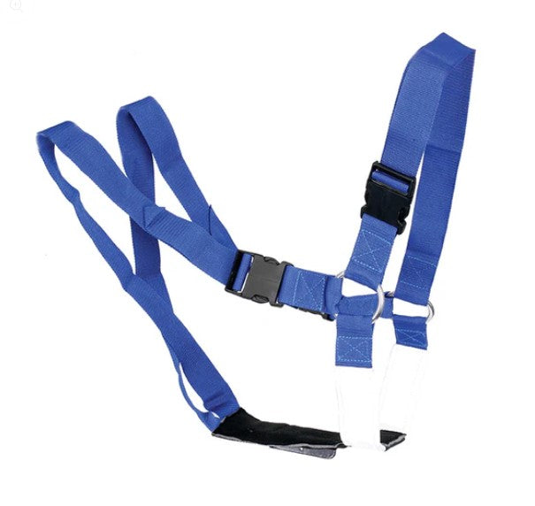 Ram Harness Super Blue