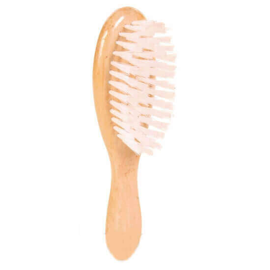 Cat Brush With Nylon Bristles