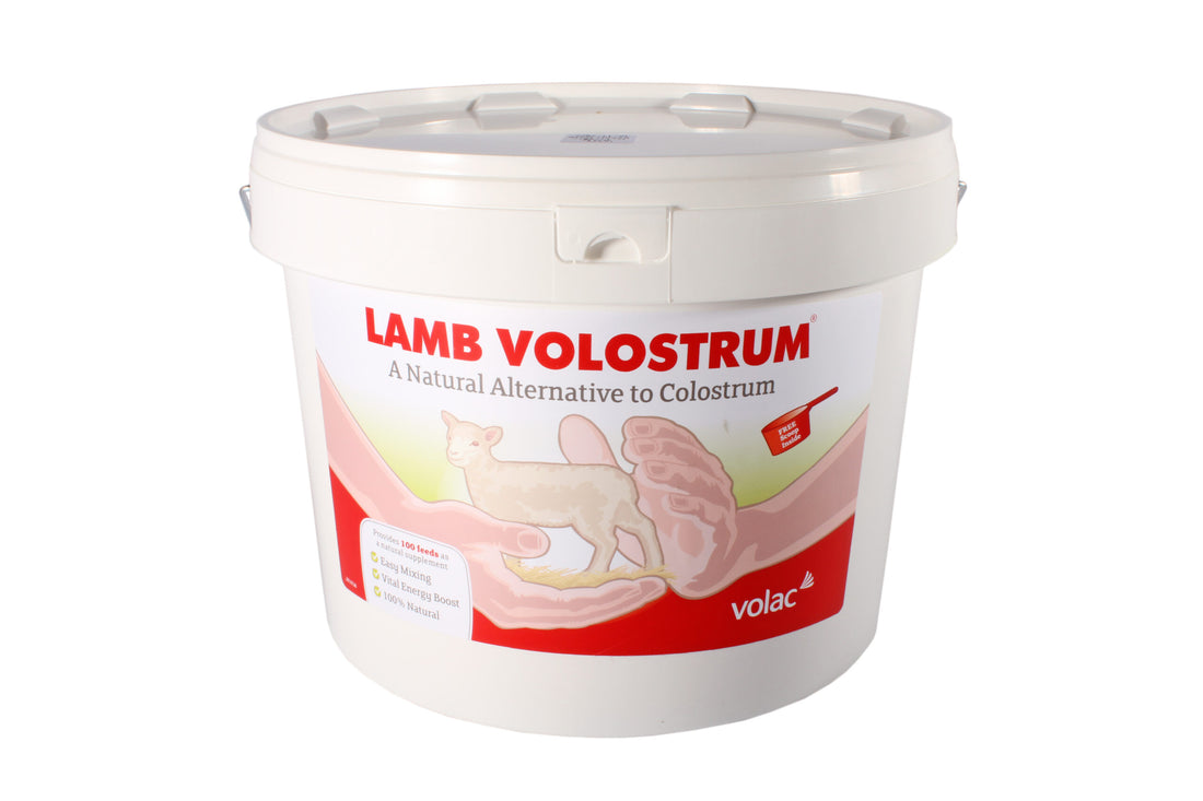 Volac Lamb Volostrum