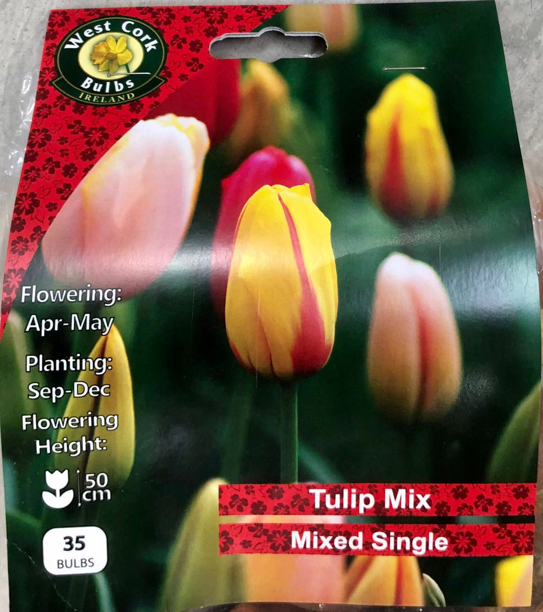 Mixed Tulips 35 Bulbs