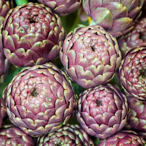 Artichoke &