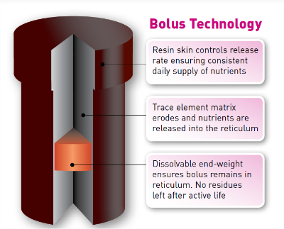 Alltrace Hi-Iodine - Single Bolus