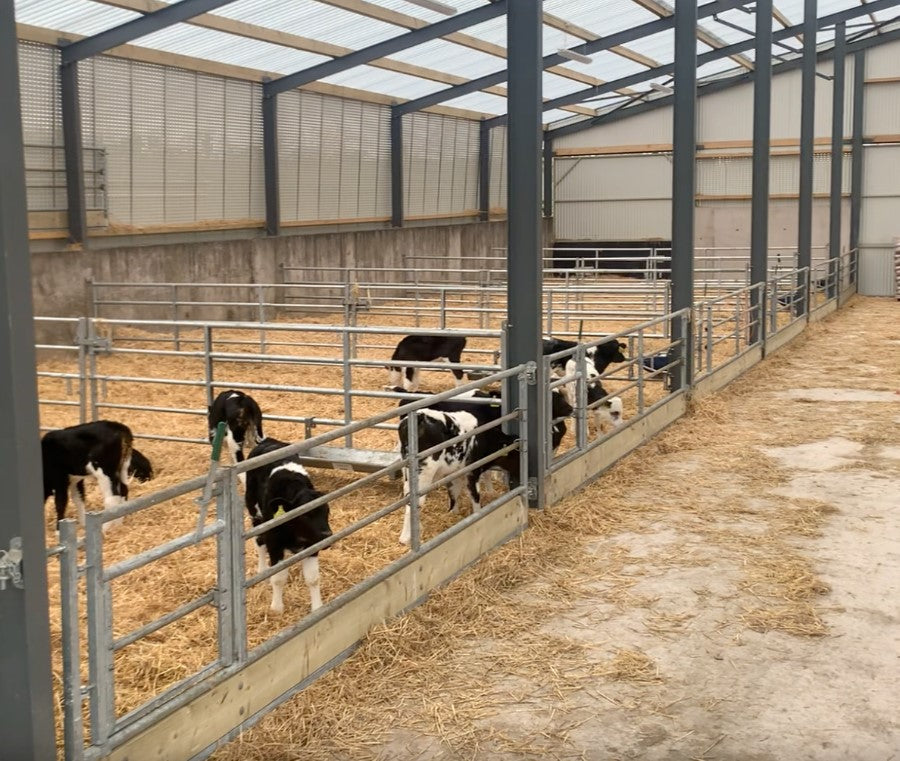 Condon Calf/sheep Feed Barrier Standard