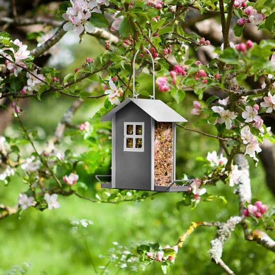 Beach Hut Feeder