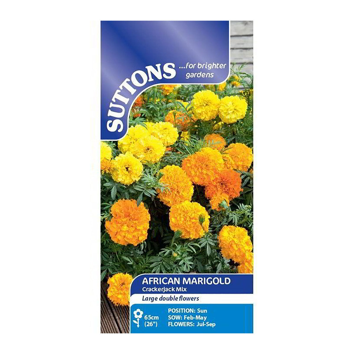 African Marigold Crackerjack Mix Flower Seeds