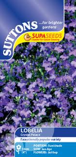 Lobelia Supacoat Crystal Palace Flower Seeds