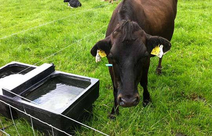 30 GAL Low Profile Drinking Trough