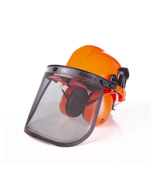 EFCO Chainsaw Helmet