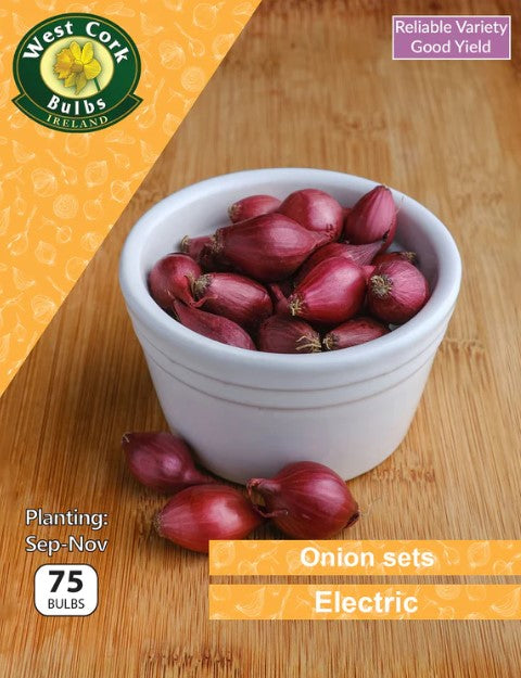 Onion Sets &