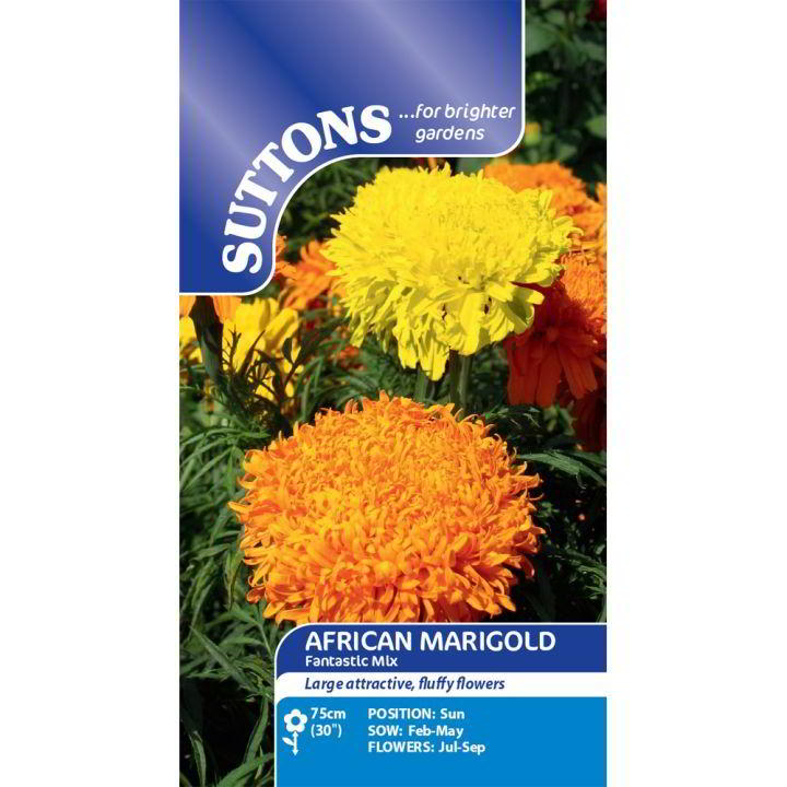 African Marigold Fantastic Mix Flower Seeds