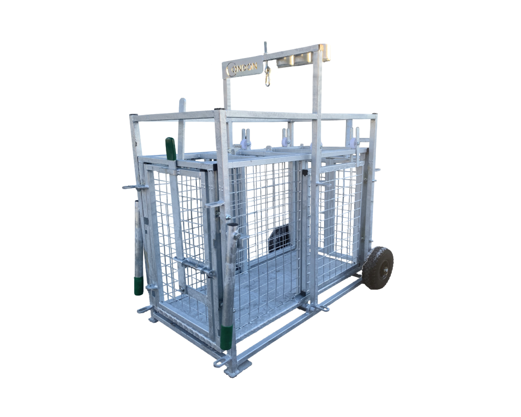 Condon Lamb Weighing Crate