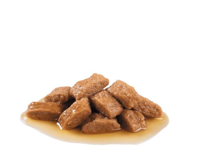 Royal Canin Medium Ageing 10+ Chunks In Gravy, 140g x 10 Pack