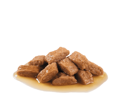 Royal Canin Medium Ageing 10+ Chunks In Gravy, 140g x 10 Pack