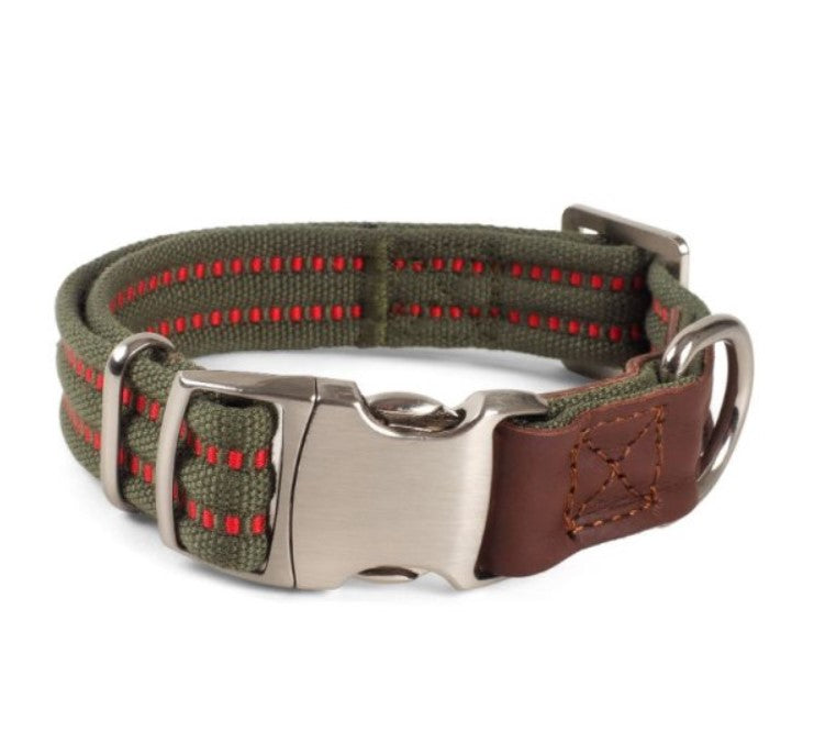 Primo Dog Collar - Olive Green