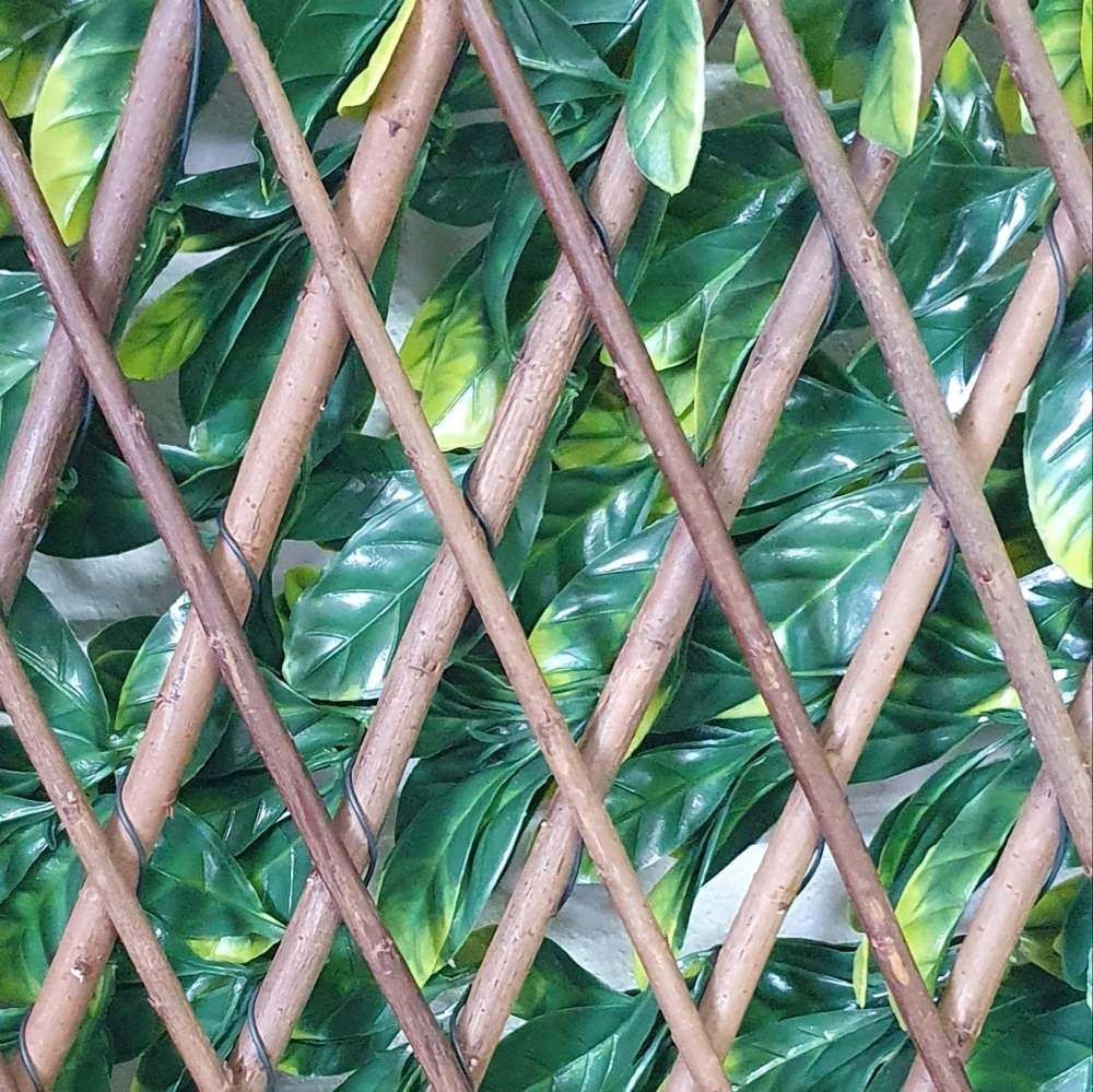 Wonderwall Laurel Leaf Trellis