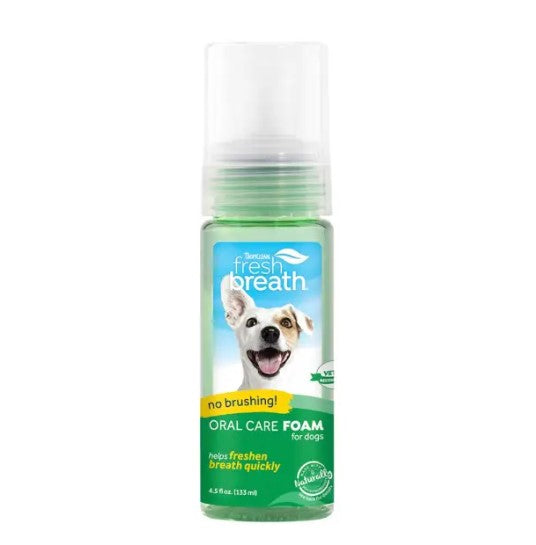 Fresh Breath Oral Care Foam 133ml