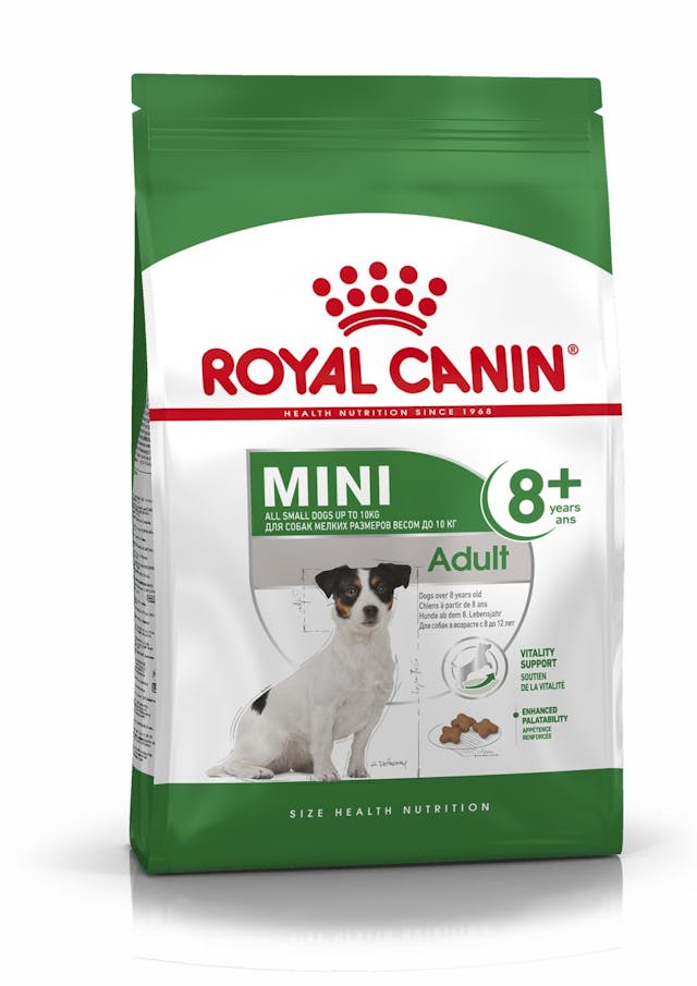 Royal Canin Dog Food Mini Adult 8+