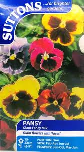 Pansy Giant Fancy Mix Flower Seeds