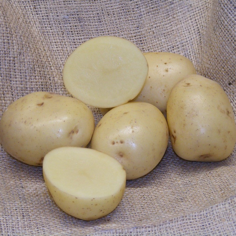 Sharpes Express Seed Potatoes - First Early 2kg