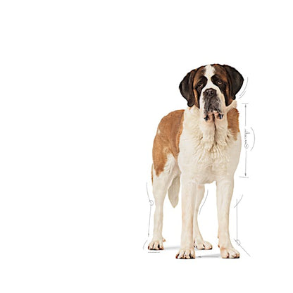 Royal Canin Giant Junior 15 kg