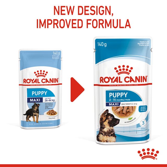 Royal Canin Maxi Puppy Chunks In Gravy, 140g x 10 Pack