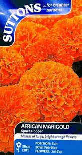 African Marigold Space Hopper Flower Seeds