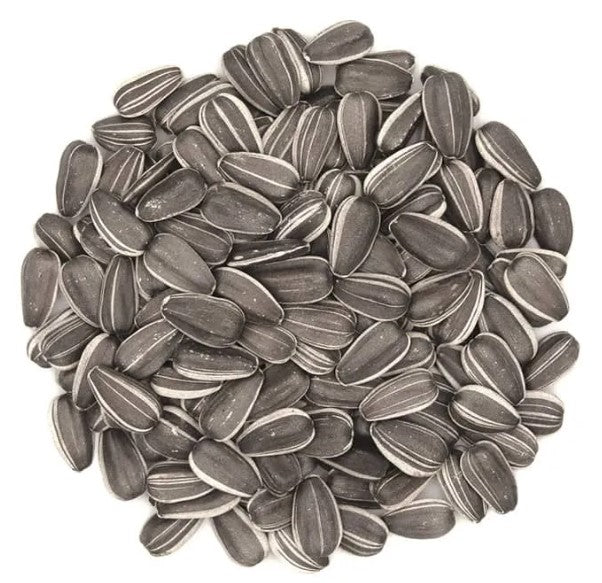 Goldcrop Striped Sunflower Seed 4kg Bucket