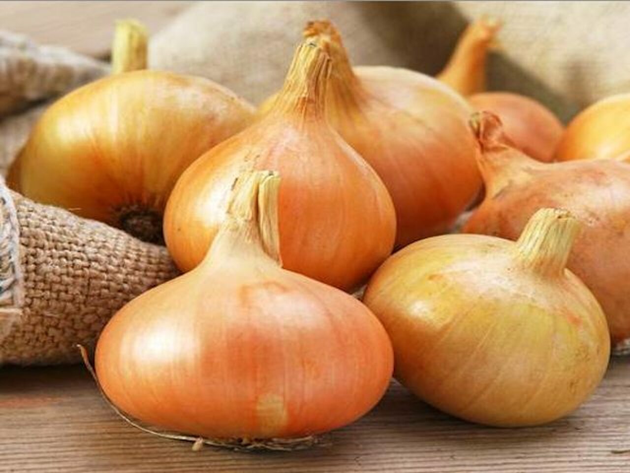 Stuttgarter Onion Sets - 500g