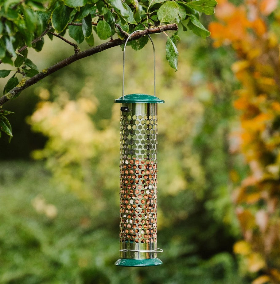 Peckish All Weather Suet &amp; Peanut Bird Feeder