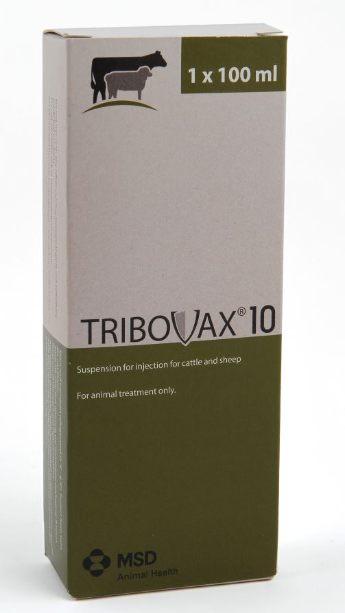 Tribovax 10