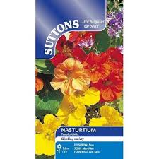 Nasturtium Tropical Mix Flower Seeds