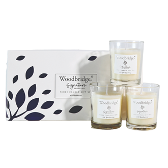 Wild Blackberries Boxed Three Votive Candle Set by Woodbridge 3x50g