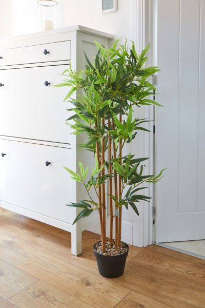 Bamboo 120 cm