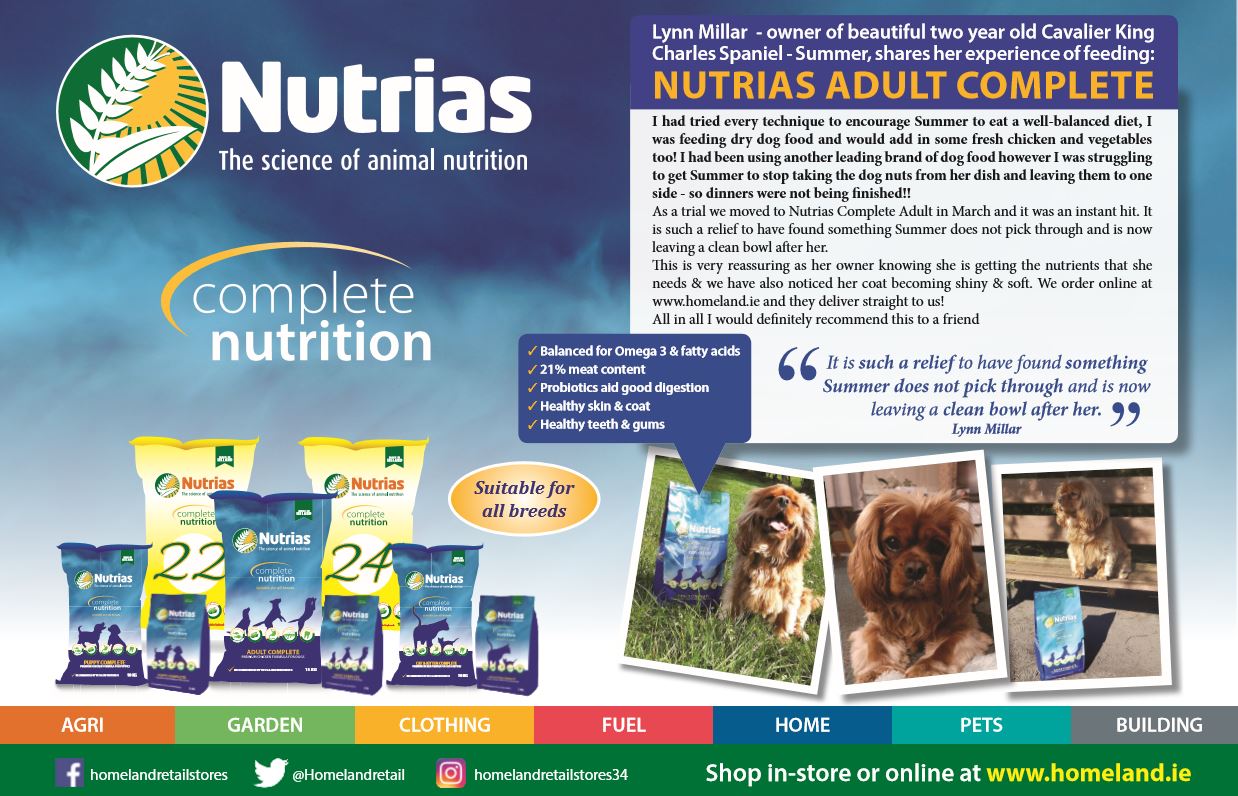 Nutrias-Pet-Summer